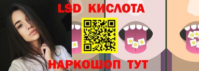 стафф Камышлов