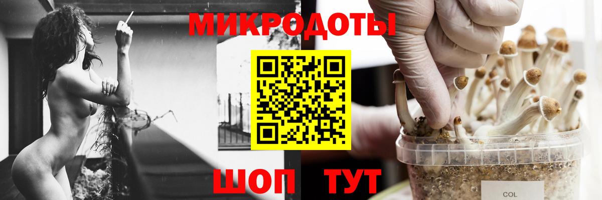 Галлюциногенные грибы Psilocybine cubensis  Вход с VPN  Красноуфимск 